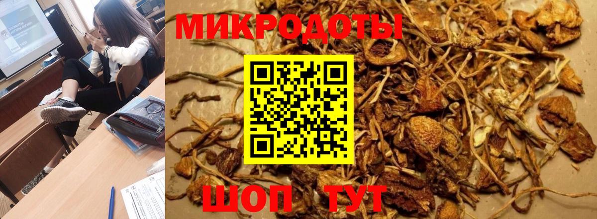 Галлюциногенные грибы Psilocybine cubensis  Галлюциногенные грибы Psilocybine cubensis  Вход с VPN  Мариинск 